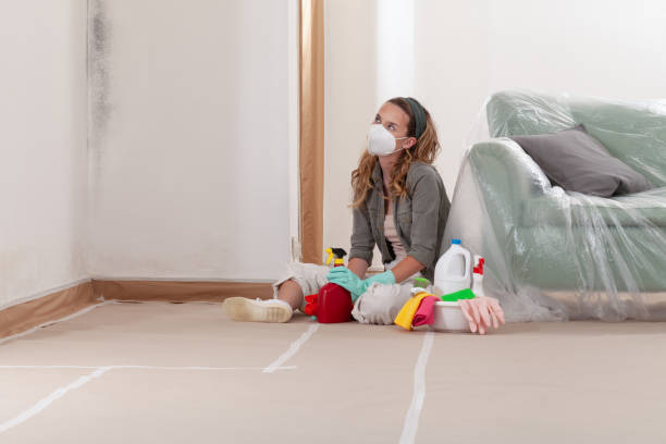 Reliable Mold Remediation contractor in Michigan, MI by Car Mold Remediation